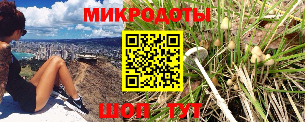 Псилоцибиновые грибы мицелий Звенигород