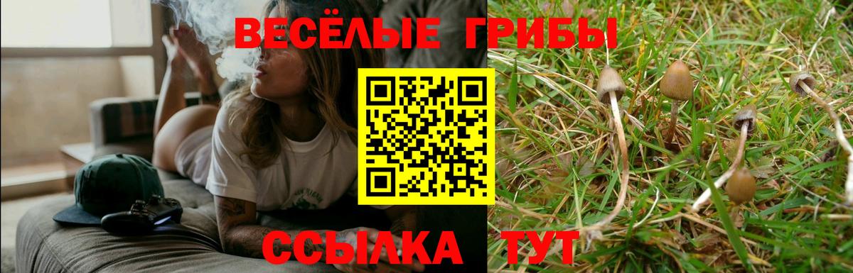 Галлюциногенные грибы GOLDEN TEACHER  Вход с VPN  Звенигород 